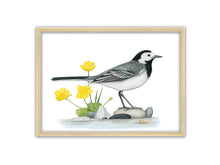 Load image into Gallery viewer, Bachstelze auf Steinen am Wasser mit gelben Blumen