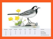 Lade das Bild in den Galerie-Viewer, Bachstelze auf Steinen mit gelber Sumpfdotterblume