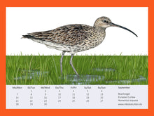 Lade das Bild in den Galerie-Viewer, Brachvogel mit sehr langem Schnabel auf feuchter Wiese gezeichnet