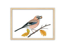 Load image into Gallery viewer, ein Eichelhäher mit einer Eichel im Schnabel sitzt auf Ast mit Herbstblättern