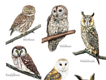 Load image into Gallery viewer, Ausschnitt der oberen Posterhälfte. Man erkennt die detailiert gezeichneten Eulen und die dazugehörigen Namen