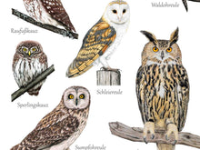 Load image into Gallery viewer, Ausschnitt der unteren Posterhälfte. Man erkennt die detailiert gezeichneten Eulen und die dazugehörigen Namen