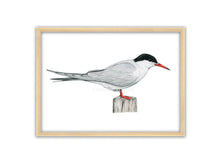 Load image into Gallery viewer, Seeschwalbe sitzt auf einem Holzpfahl
