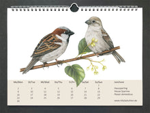 Lade das Bild in den Galerie-Viewer, Zwei Spatzen, Männchen und Weibchen, sitzen auf einem Lindenzweig
