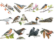 Lade das Bild in den Galerie-Viewer, Übersicht mit allen Vogelzeichnungen im 2025 Kalender