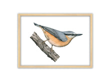 Load image into Gallery viewer, orange-grauer Vogel mit kräftigem Schnabel auf einem dicken Ast