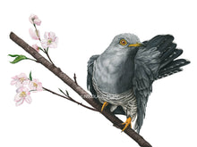 Lade das Bild in den Galerie-Viewer, Der Vogel ist überwiegend grau, hat einen gestreiften Bauch und gelbe Auge, Schnabel und Füße