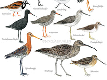 Load image into Gallery viewer, unterer Teil des Posters