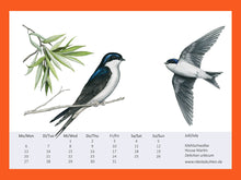 Lade das Bild in den Galerie-Viewer, Zeichnung von 2 Mehlschwalben, eine sitzend eine im Flug, links ein paar grüne Blätter