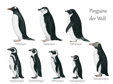 Load image into Gallery viewer, Oberer Teil des Posters mit 8 schwarz weißen Pinguinen