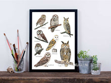 Load image into Gallery viewer, 8 verschiedene Eulen auf weißem Hintergrund gezeichnet. Hier mit schwarzem Rahmen und einigen Dekoobjekten dargestellt
