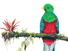 Load image into Gallery viewer, Detailansicht vom Oberkörper und Ast, auf dem viele detaillierte Pflanzen dargestellt sind