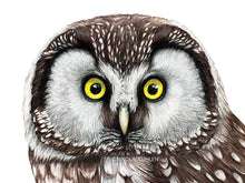 Load image into Gallery viewer, Nahansicht vom Gesicht mit den großen gelben Augen