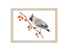 Load image into Gallery viewer, Bunter Vogel auf einem Zweig mit roten Beeren