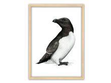 Load image into Gallery viewer, Tordalk in der Seitenansicht mit Blick nach links hinten