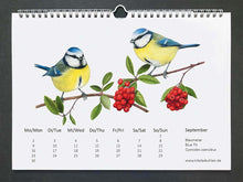 Lade das Bild in den Galerie-Viewer, Der September mit 2 Blaumeisen, gelb blauen Vögeln. Sie sitzen in Geäst mir grünen Blättern und roten Beeren
