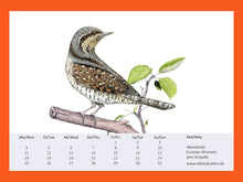 Lade das Bild in den Galerie-Viewer, Zeichnung von Wendehals auf Ast mit grünen Blättern
