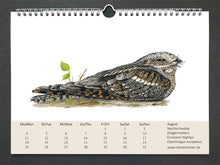 Lade das Bild in den Galerie-Viewer, Gut getarnt mit seinem braun grau schwarzem Gefieder ruht der Ziegenmelker tags am Boden