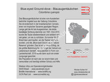 Lade das Bild in den Galerie-Viewer, Infokarte deutsch