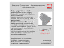 Lade das Bild in den Galerie-Viewer, Infokarte englisch