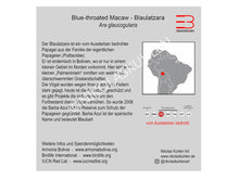 Load image into Gallery viewer, Ara Infokarte deutsch