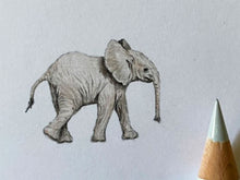 Lade das Bild in den Galerie-Viewer, Elefant Miniatur Zeichnung mit Stiftspitze zum Größenvergleich
