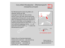 Load image into Gallery viewer, Elfenbeinspecht Infokarte deutsch