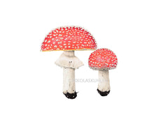 Lade das Bild in den Galerie-Viewer, Zwei Fliegenpilze rot weiß