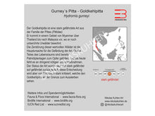 Load image into Gallery viewer, Goldkehlpitta Infokarte deutsch