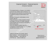 Load image into Gallery viewer, Kaiseramazone Infokarte englisch