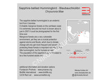 Lade das Bild in den Galerie-Viewer, Info Karte Kolibri englisch