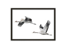 Lade das Bild in den Galerie-Viewer, zwei Kraniche im Flug mit Rahmen