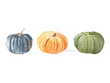 Load image into Gallery viewer, 3 Kürbisse blau orange grün