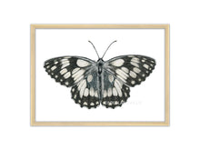 Load image into Gallery viewer, Zeichnung Schachbrett Schmetterling - schwarz weiß
