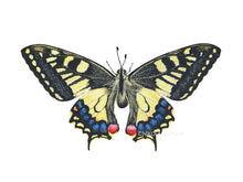 Load image into Gallery viewer, Zeichnung Schwalbenschwanz Detail