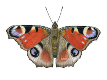 Load image into Gallery viewer, Zeichnung Tagpfauenauge Detail