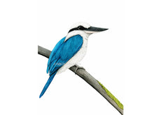 Lade das Bild in den Galerie-Viewer, Liest weiß blau Detail