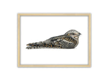 Load image into Gallery viewer, Zeichnung Nachtschwalbe in Holzrahmen