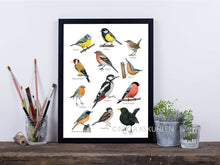 Lade das Bild in den Galerie-Viewer, Poster 10 Vögel mit Dekoelementen
