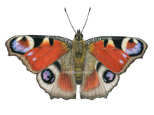 Load image into Gallery viewer, Schmetterling Tagpfauenauge