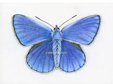 Load image into Gallery viewer, Schmetterling Bläuling