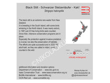 Load image into Gallery viewer, Infokarte grau englisch