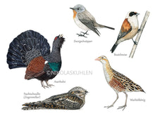 Load image into Gallery viewer, Ausschnitt unten 5 Vögel