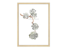 Load image into Gallery viewer, Fünf Sukkulenten an Ast, grün grau