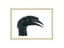 Load image into Gallery viewer, Hornvogel schwarz Rahmen