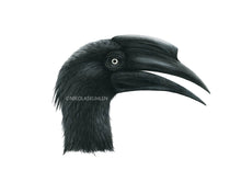 Load image into Gallery viewer, Hornvogel schwarz Detail