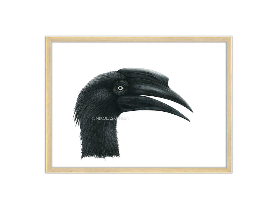 Hornvogel schwarz Portrait Rahmen