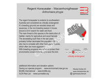 Load image into Gallery viewer, Infokarte grau englisch