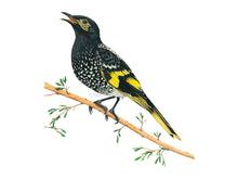 Load image into Gallery viewer, Vogel schwarz gelb Detail