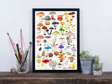Load image into Gallery viewer, Poster mit 40 bunten Pilzillustrationen in eienm schwarzen Rahmen, daneben Dekoration
